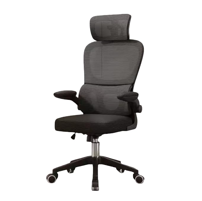 Chaise Bureau Ergonomique XANNI, Siege de Bureau avec Support Lombaire Réglable et Accoudoir, Fauteuil Pivotant Conforta